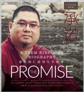 Stock image for THE PROMISE: A TSEM RINPOCHE BIOGRAPHY (4TH EDITION) for sale by ThriftBooks-Atlanta