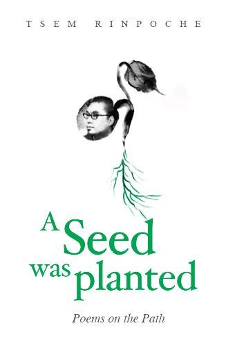 Beispielbild fr A Seed Was Planted zum Verkauf von GreatBookPrices