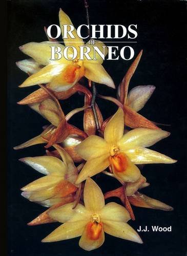 Orchids of Borneo Vol. 3. Dendrobium, Dendrochilum and others