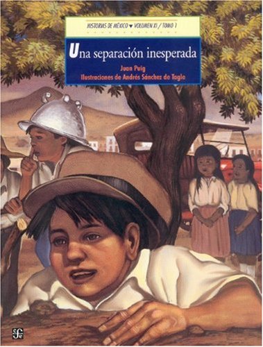 Imagen de archivo de Historias de Mxico. Vol. XI: Mxico Siglo XX, tomo 1: Una separacin inesper. a la venta por Iridium_Books