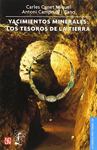 Imagen de archivo de YACIMIENTOS MINERALES. LOS TESOROS DE LA TIERRA a la venta por AG Library