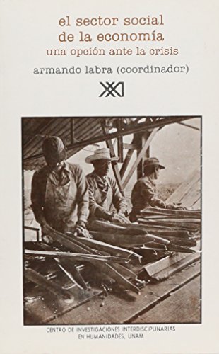 Stock image for Sector social de la economia: Una opcion ante la crisis (Biblioteca Mexico, actualidad y perspectivas) (Spanish Edition) for sale by Ergodebooks