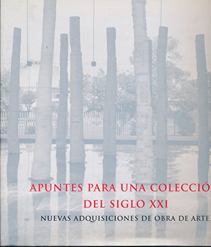 Beispielbild fr Apuntes Para Una Coleccion Del Siglo Xxi (Artes Visuales) (Spanish Edition) zum Verkauf von dsmbooks