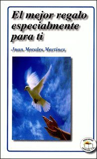 Imagen de archivo de MEJOR REGALO ESPECIALMENTE PARA TI [Paperback] by MORALES MARTINEZ JUAN a la venta por Iridium_Books