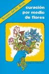 Stock image for CURACIN POR MEDIO DE FLORES. TERAPIA DEL DR. BACH for sale by KALAMO LIBROS, S.L.