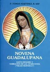 Beispielbild fr Novena Guadalupana zum Verkauf von GF Books, Inc.
