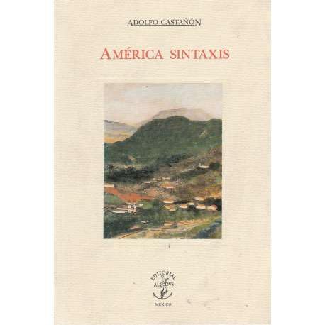 Imagen de archivo de Amrica sintaxis. a la venta por La Librera, Iberoamerikan. Buchhandlung