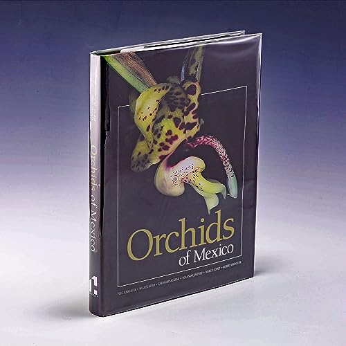 Imagen de archivo de Orchids of Mexico a la venta por HPB-Red