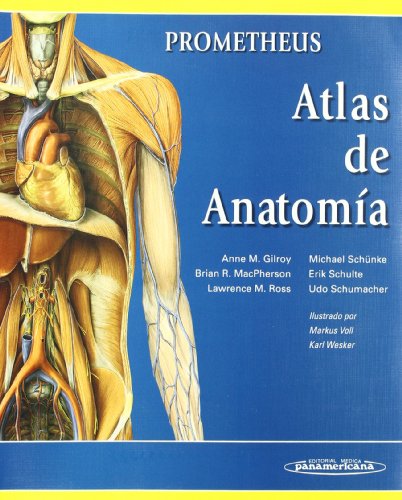 Stock image for ANATOMIA CON ORIENTACIN CLNICA for sale by Zilis Select Books