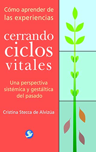 Stock image for CERRANDO CICLOS VITALES STECCA DE ALVIZUA, CRISTINA for sale by Iridium_Books