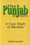 Beispielbild fr The Punjab in 1920's zum Verkauf von Books Puddle