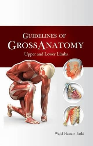 Stock image for Guidelines of Gross Anatomy for sale by Blackwell's