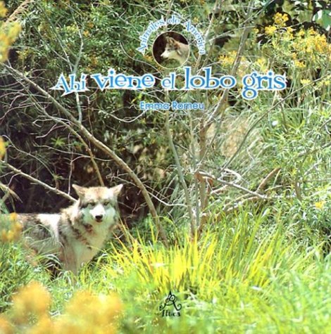 Stock image for Ah? viene el lobo gris (Animales de America) (Spanish Edition) for sale by SecondSale