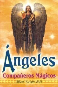 Stock image for Angeles companeros magicos/ Angels Magic fellow (Spanish Edition) for sale by Better World Books