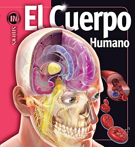 Beispielbild fr Cuerpo Humano/ Human Body (Insiders) (Spanish Edition) zum Verkauf von HPB-Ruby