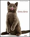 Gatos & Gatos/ Cats & Cats! (Spanish Edition) (9789707774988) by Burton, Jane