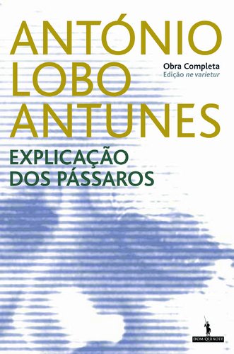 Stock image for Explica¸ão dos pássaros: romance (Obra completa) for sale by WeBuyBooks