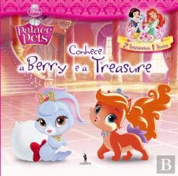 Beispielbild fr Conhece a Berry e a Treasure Palace Pets 1 (Portuguese Edition) zum Verkauf von WorldofBooks