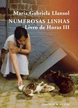 Numerosas Linhas Maria Gabriela Llansol (Paperback) - Maria Gabriela Llansol