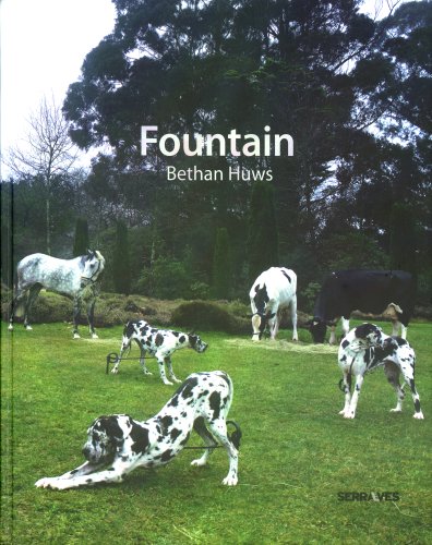 Beispielbild fr Bethan Huws: Fountain : (English/Portuguese) zum Verkauf von Antiquariat UEBUE