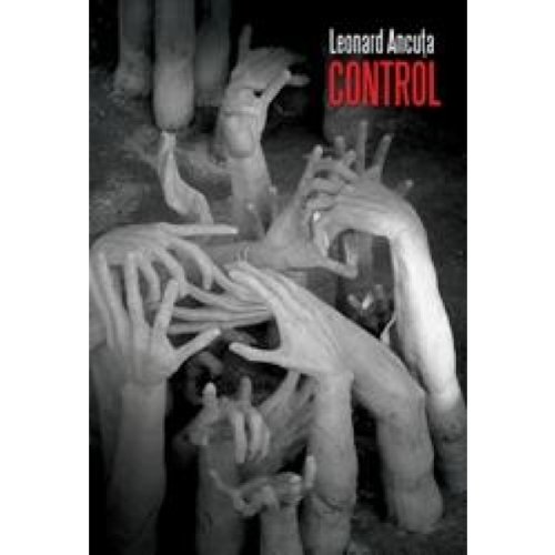 Beispielbild fr Control Leonard Ancuta zum Verkauf von medimops