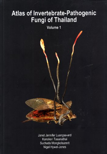 9789742295226: Atlas of Invertebrate-Pathogenic Fungi of Thailand: Volume 1