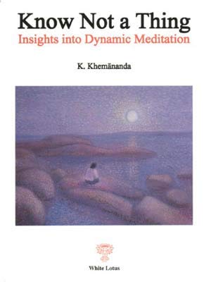 Know Not a Thing - Insights Into Dynamic Mediation