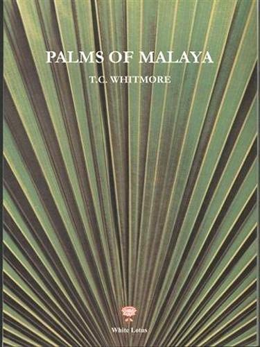 9789748434551: Palms of Malaya