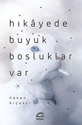 Stock image for Hikayede Byk Bosluklar Var for sale by medimops