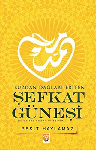 Stock image for Sefkat Gnesi: Buzdan Daglari Eriten for sale by medimops