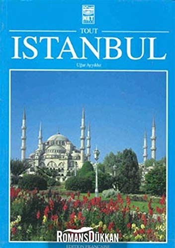 Beispielbild fr Istanbul zum Verkauf von Ammareal