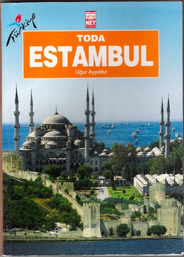 Stock image for Toda Estambul (Hoistoriador de arte y guia profesional de turismo) for sale by medimops