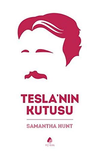 Stock image for Tesla'n?n Kutusu for sale by medimops