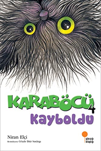 Stock image for Karabc 4 Kayboldu: 1, 2, 3. S?n?flar for sale by medimops