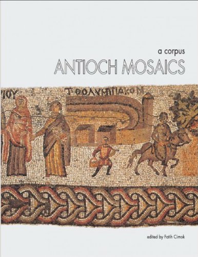9789757528494: Antioch Mosaics - A Turizm: a corpus
