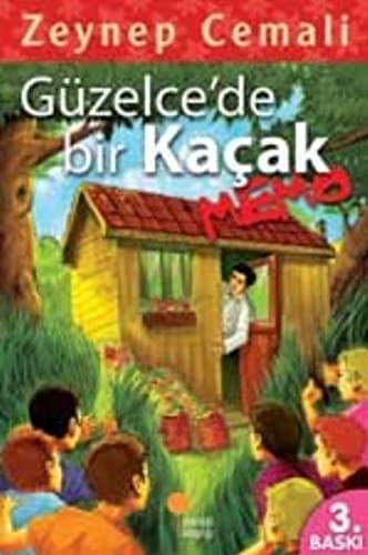 Stock image for Gzelce'de Bir Kaak for sale by Buchpark