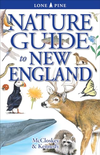 Stock image for Nature Guide to New England for sale by ThriftBooks-Dallas
