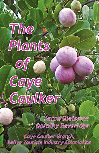 Stock image for The Plants of Caye Caulker for sale by BookScene
