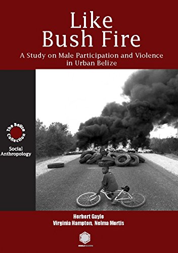 Stock image for Like Bush Fire for sale by ThriftBooks-Dallas