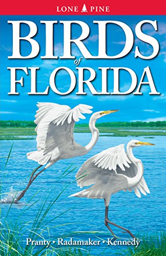 Imagen de archivo de Birds of Florida a la venta por SecondSale