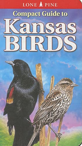 Beispielbild fr Compact Guide to Kansas Birds zum Verkauf von SecondSale