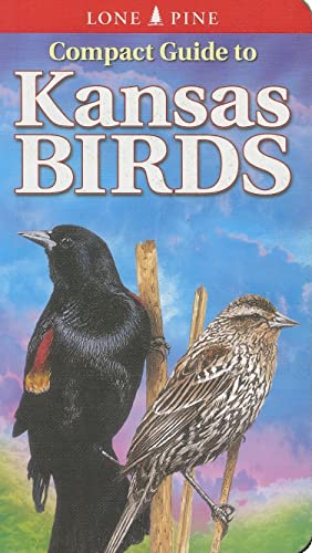 Stock image for Compact Guide to Kansas Birds for sale by SecondSale