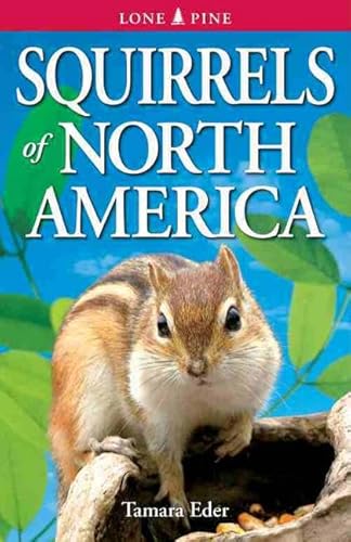 Imagen de archivo de Squirrels of North America a la venta por ThriftBooks-Dallas