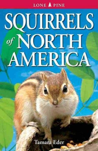Stock image for Squirrels of North America for sale by ThriftBooks-Dallas