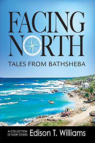 Beispielbild fr Facing North: Tales from Bathsheba zum Verkauf von Better World Books