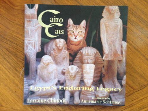 Stock image for Cairo Cats for sale by Hippo Books