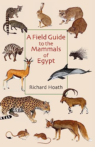 9789774162541: A Field Guide to the Mammals of Egypt