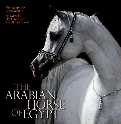 Stock image for The Arabian Horse of Egypt for sale by HPB-Diamond