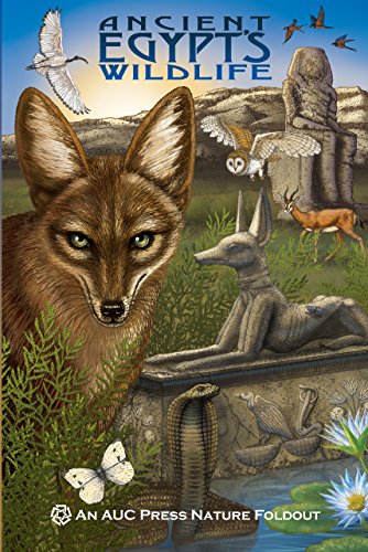 9789774165955: Ancient Egypt's Wildlife: An Auc Press Nature Foldout
