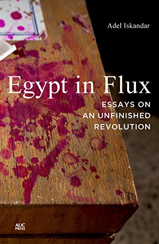 Imagen de archivo de Egypt in Flux: Essays on an Unfinished Revolution a la venta por Emily's Books